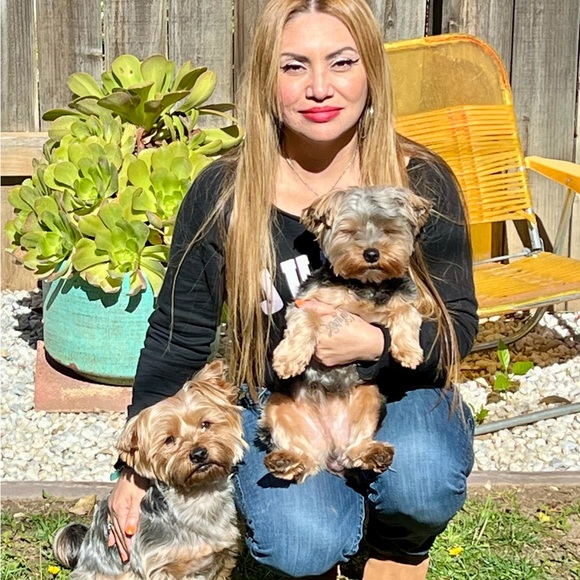 Meet your Posher, Ev, Rocky & Apollo 💖💙 Every purchase feeds a homeless dog🐾🐾 - Picture 3 of 13